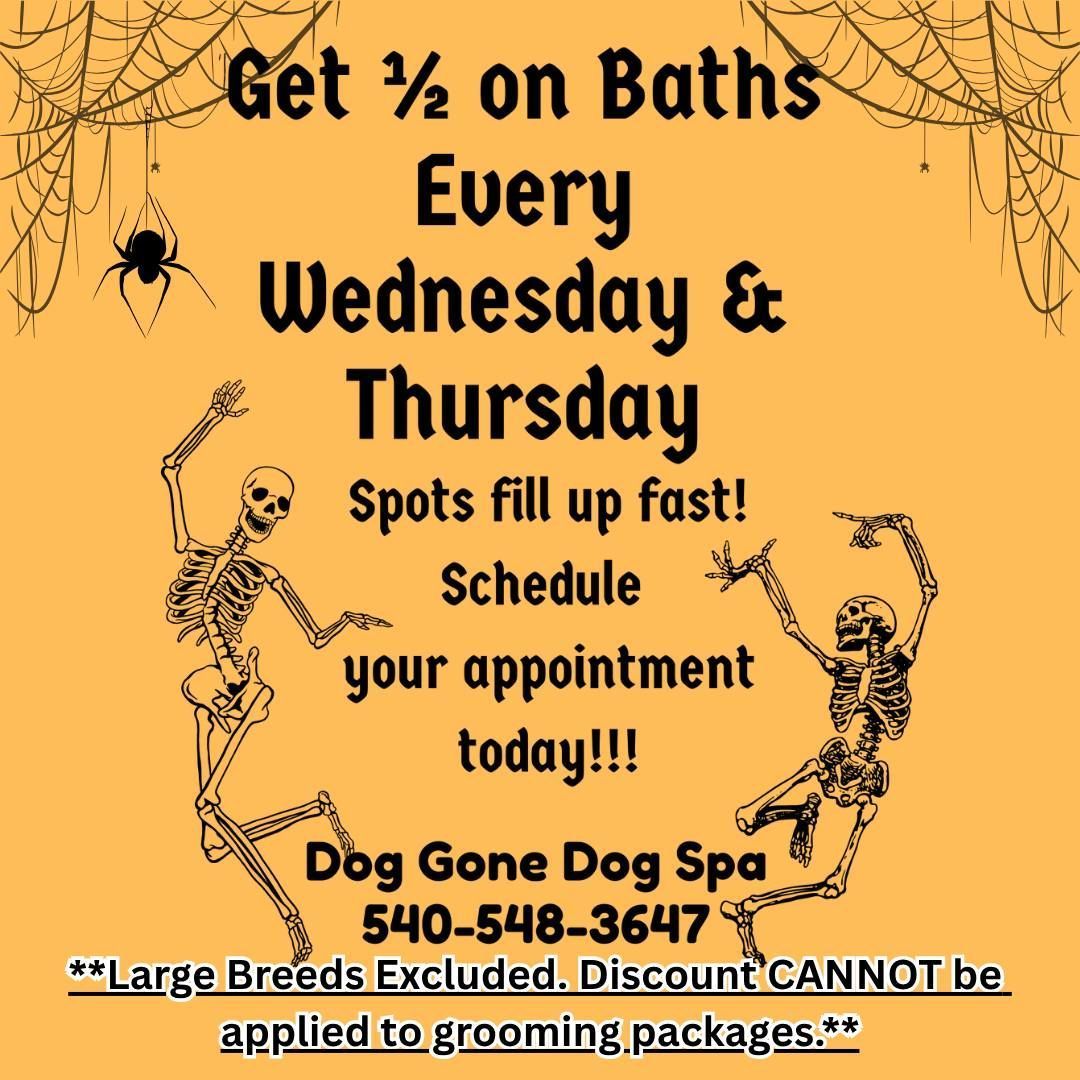 Dog Gone Dog Spa ad: Half-off baths Wednesdays/Thursdays. Skeletons, spiderwebs, orange background. Excludes large breeds/grooming.