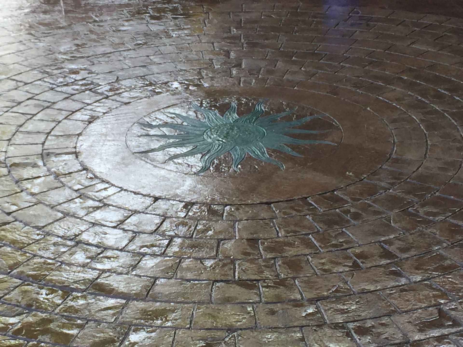 Wet, circular brick pattern concrete with a green design in the center.