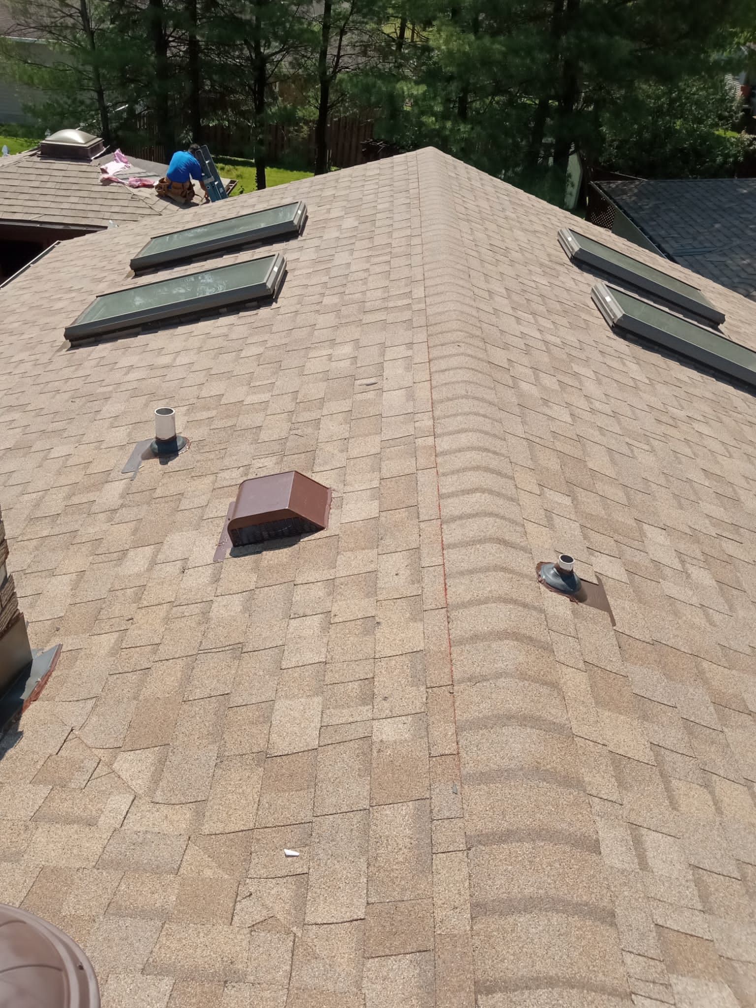 A roof with a lot of skylights on it.