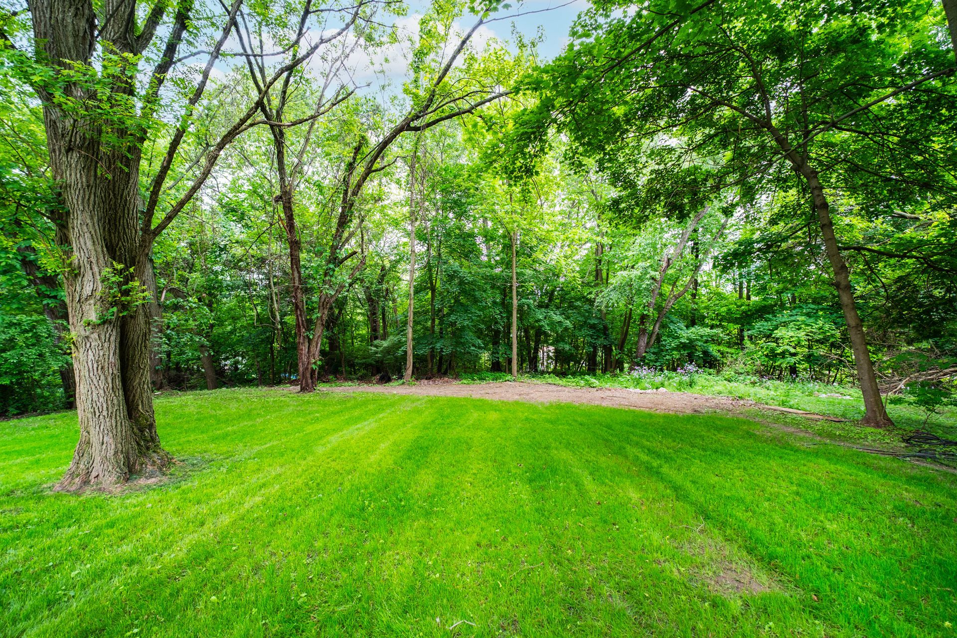 A lush green lawn surrounded by trees in a park.