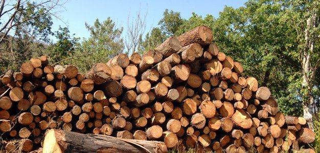 Firewood supply