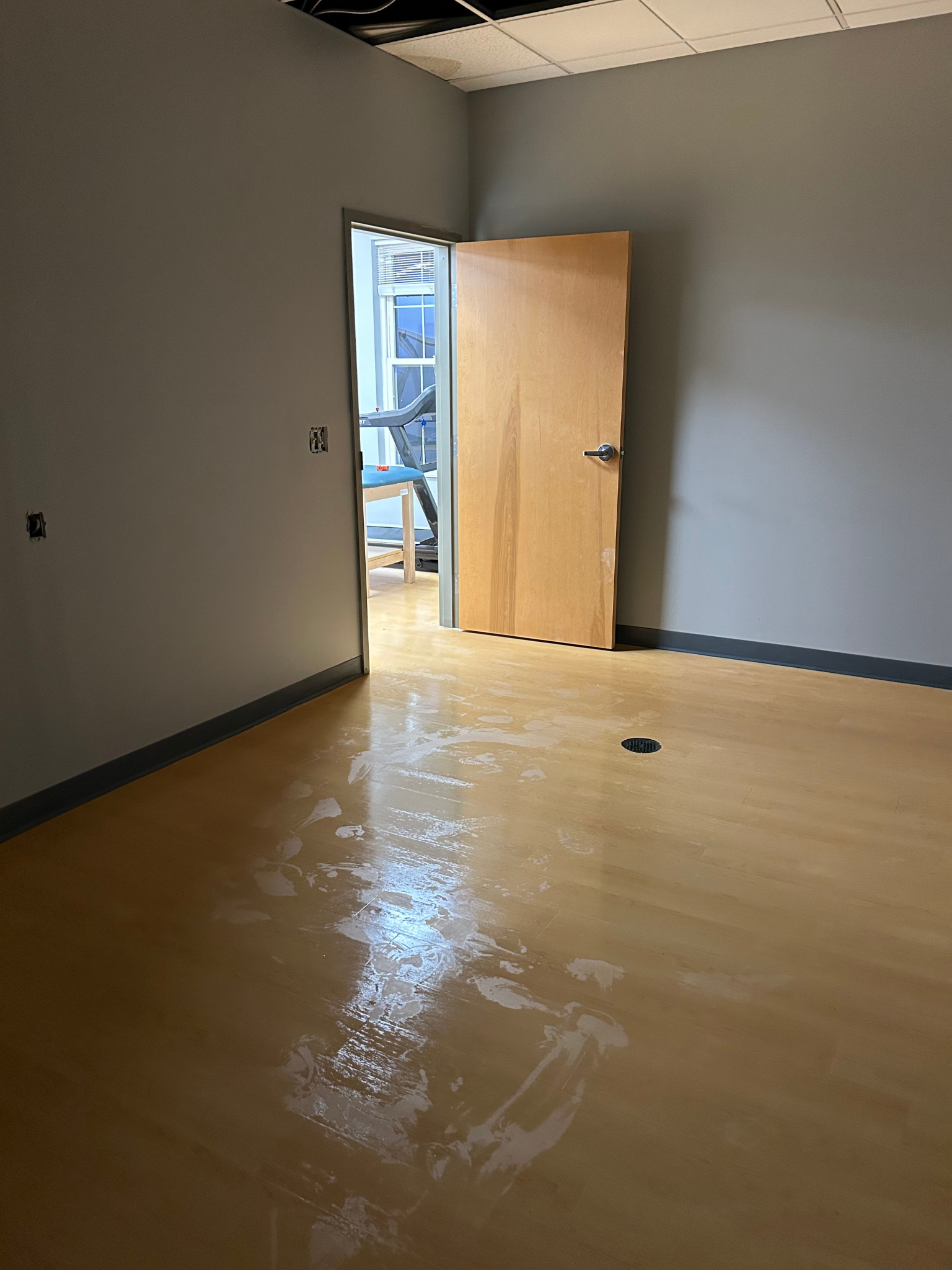 Empty room with light wood floor, gray walls, and an open door to a bright hallway