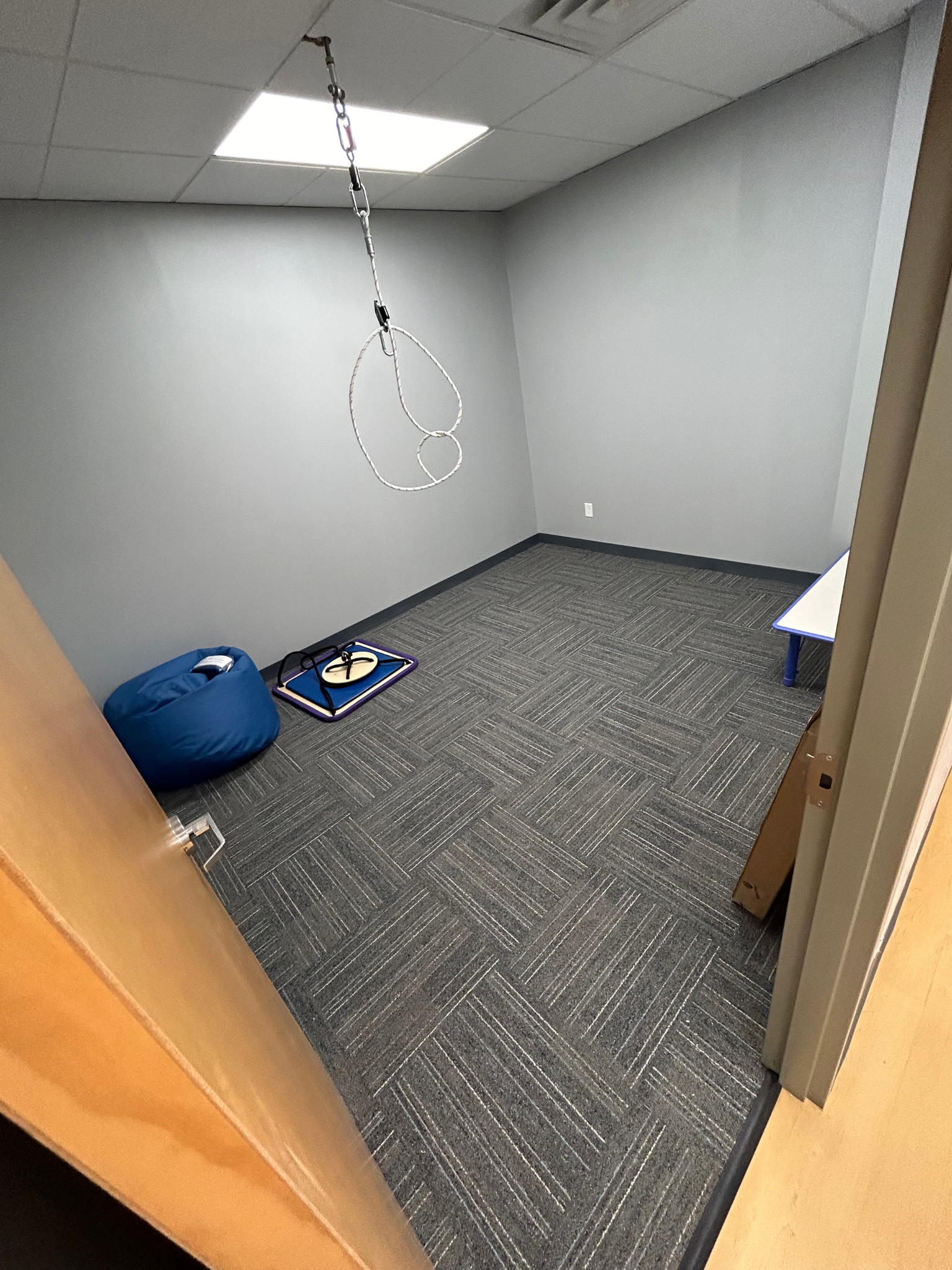 Empty small gray room with carpet, open door, blue exercise ball, and hanging cable/rope from the ceiling