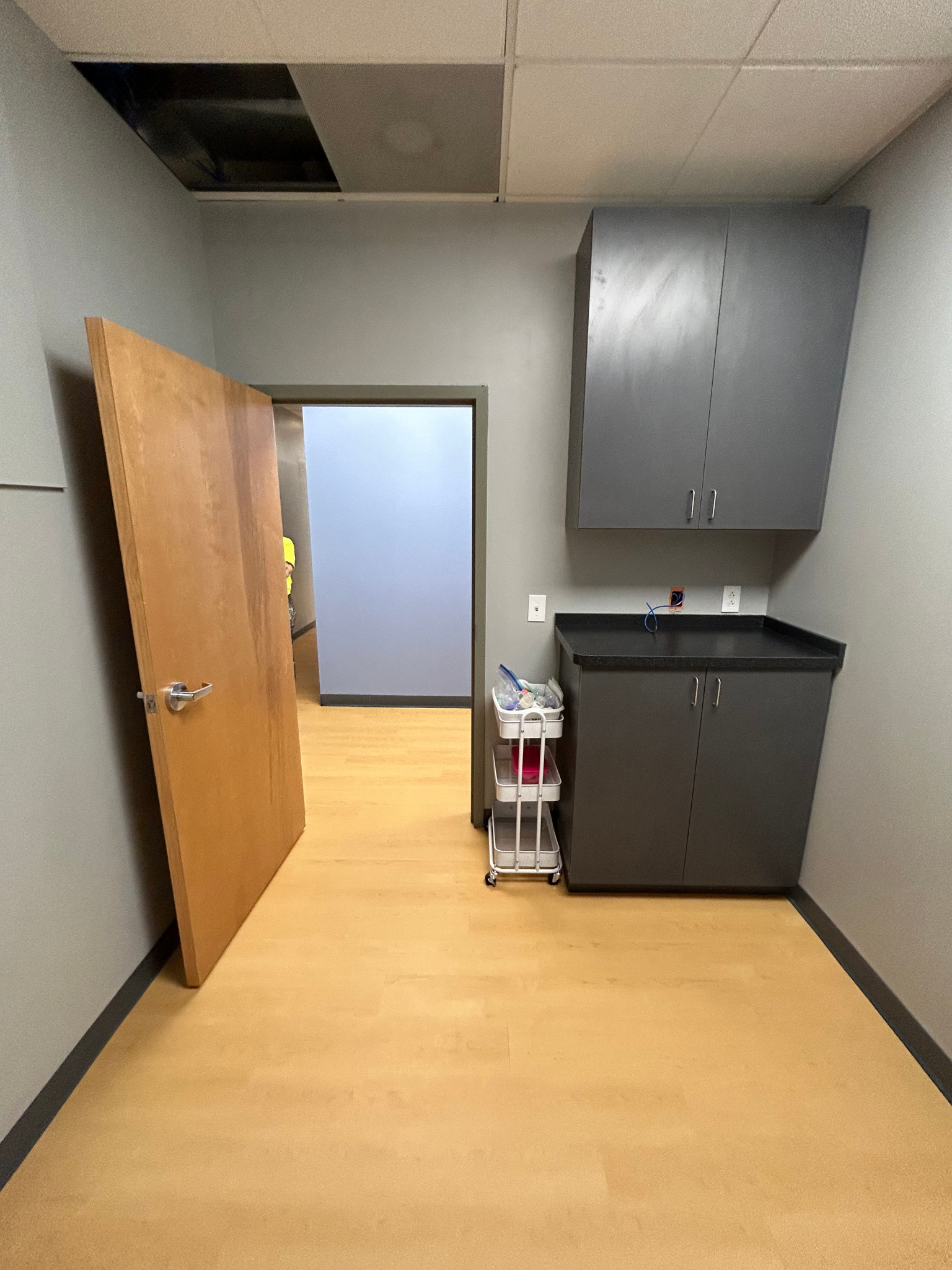 Small office break room with open wooden door, gray cabinets, sink, and light wood floor