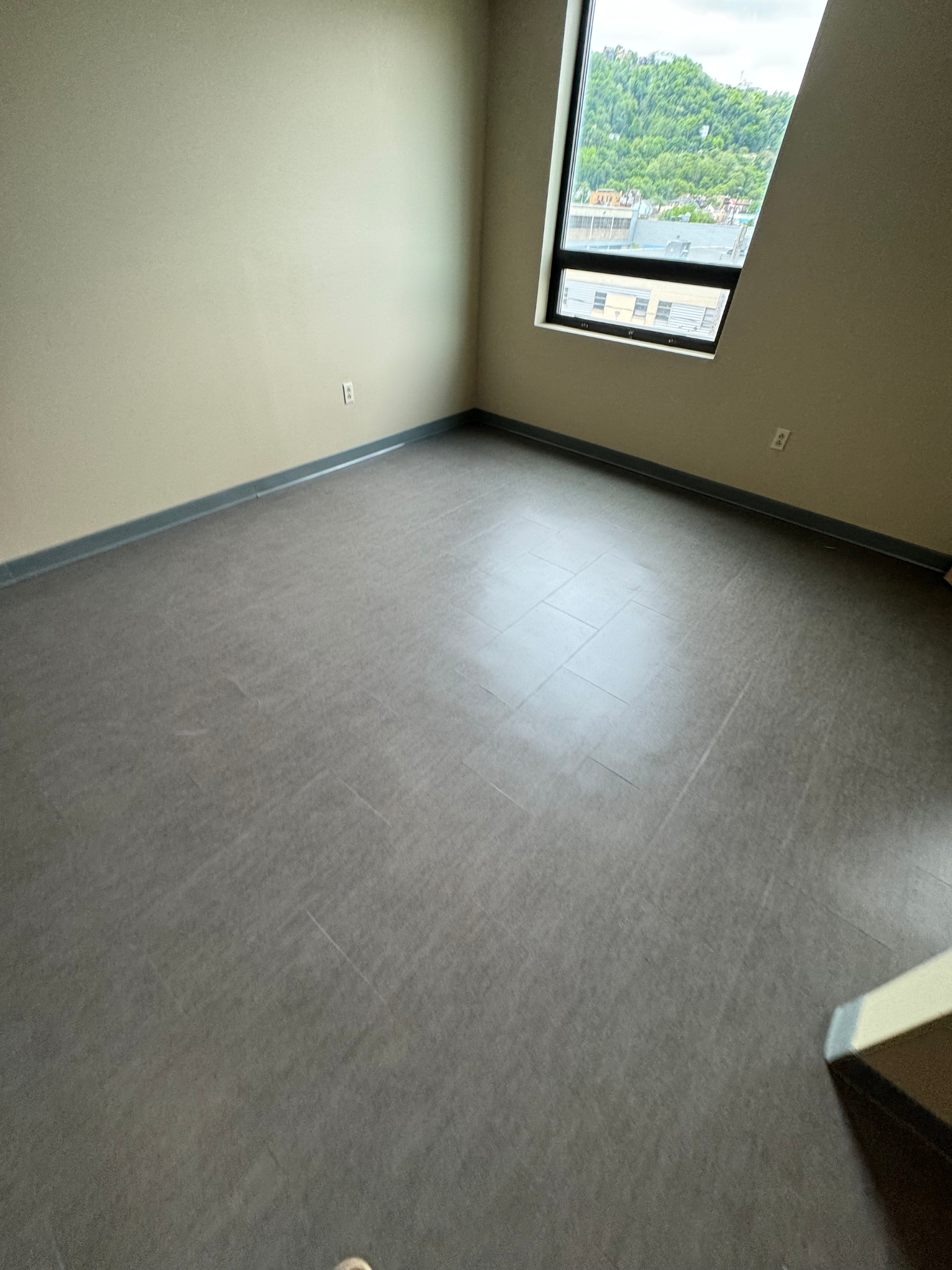 Empty room with beige walls, gray carpet, and a window overlooking greenery.