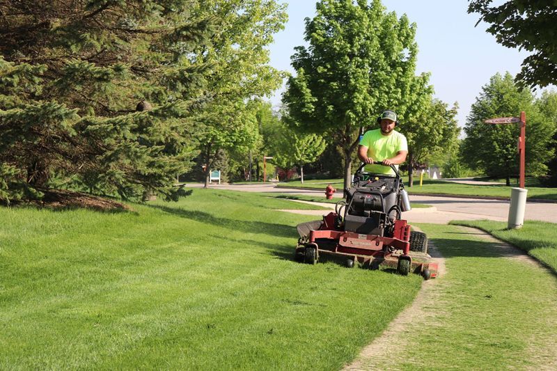 Man mowing lawn with riding mower on a sunny day; green grass and trees in the background.
