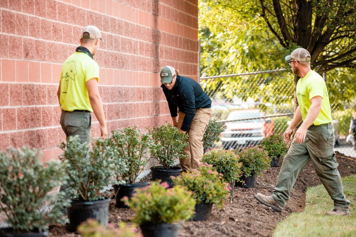 Three landscapers are planting shrubs near a brick wall.