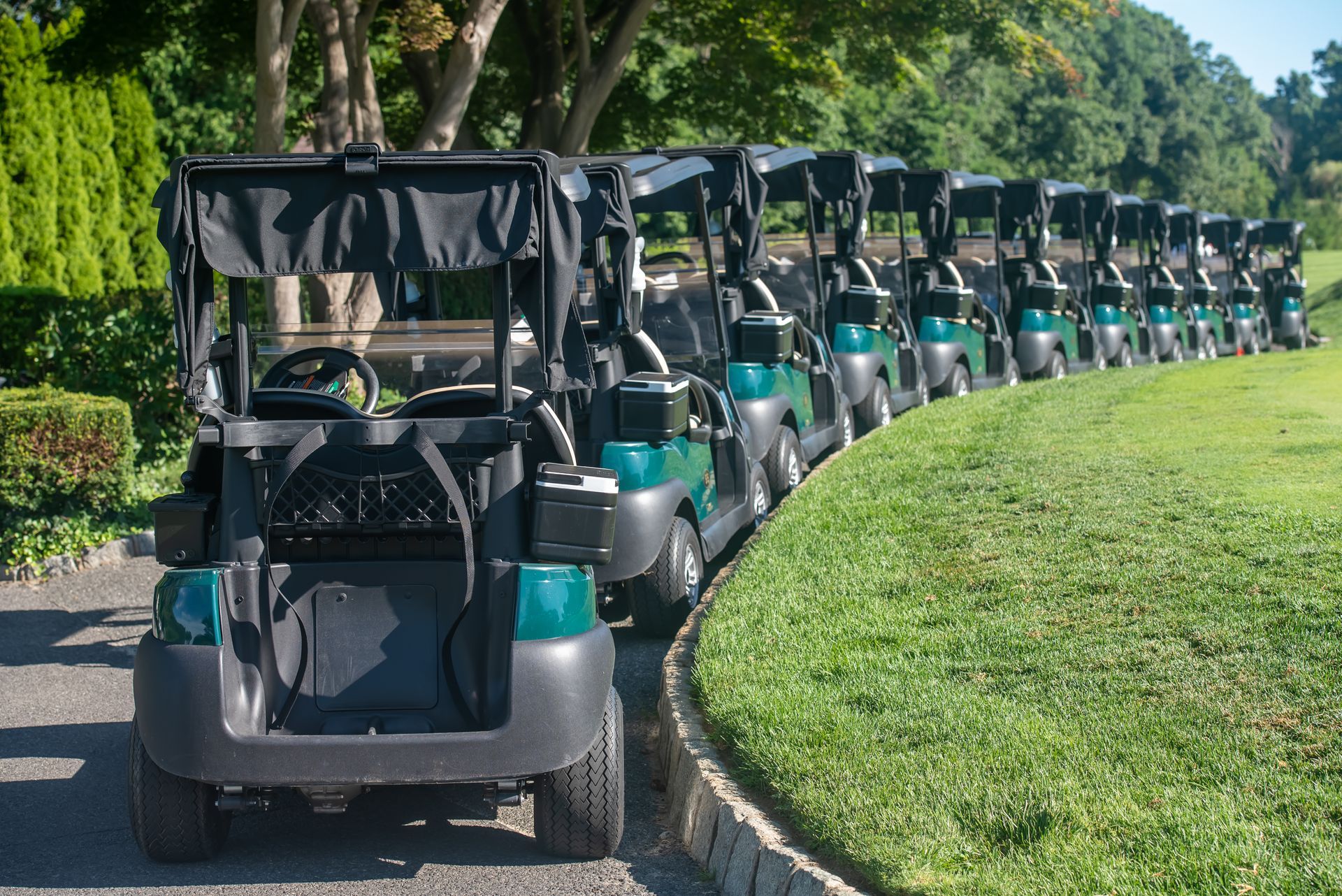 Golf clubs in a black bag against a bright blue sky.