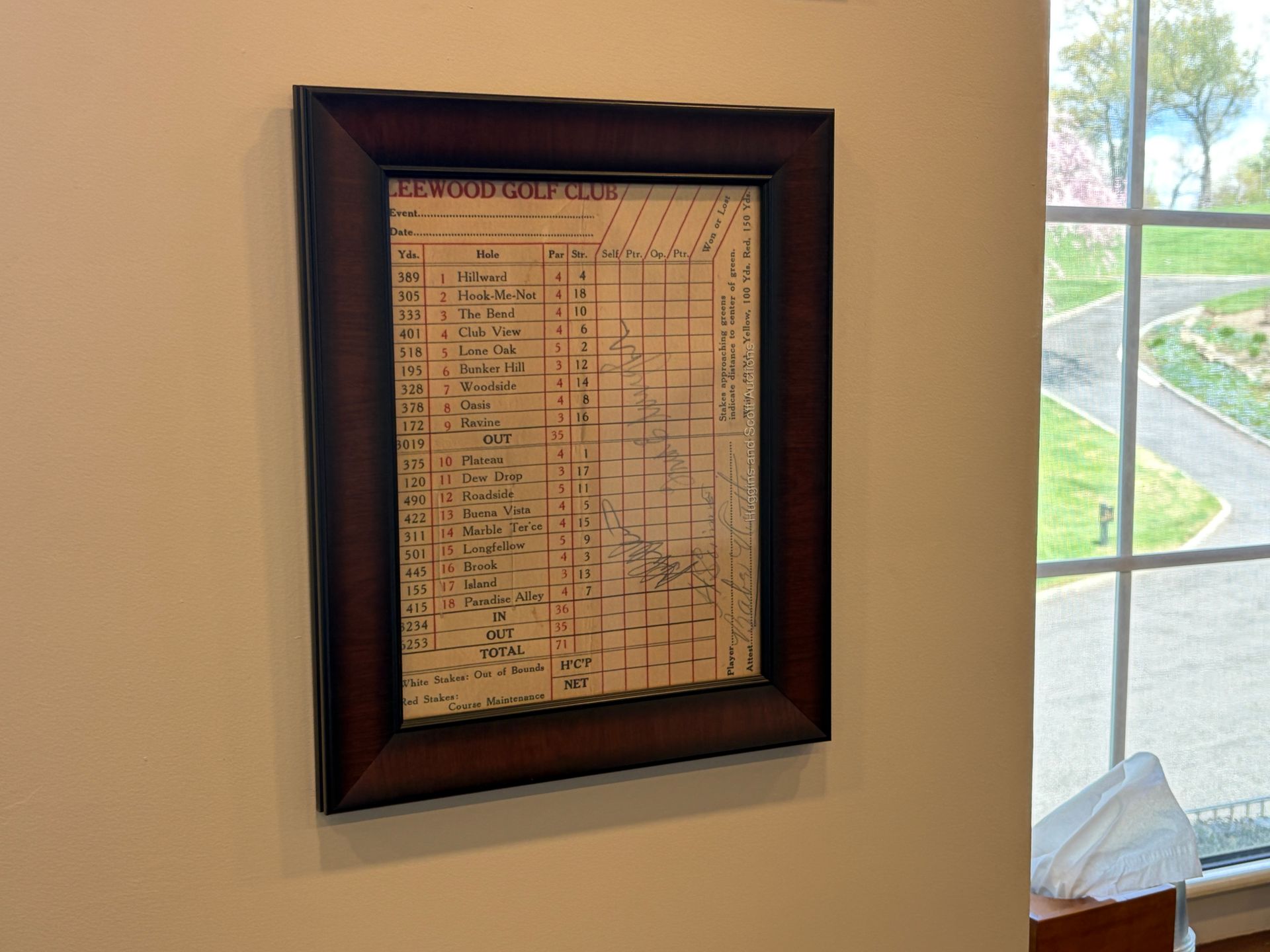 Framed document on a beige wall beside a window with greenery outside