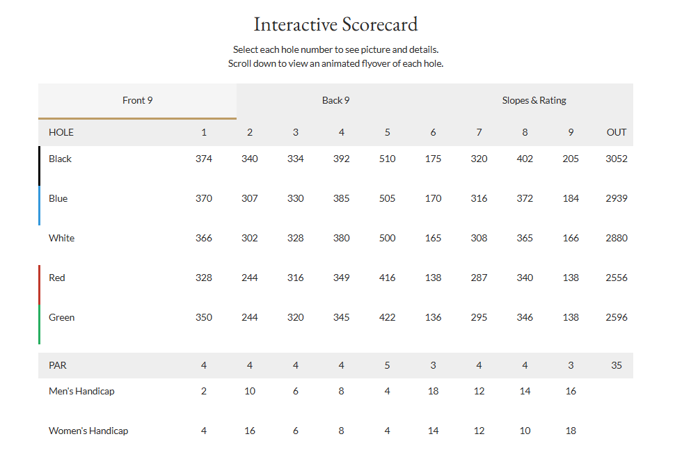 Interactive scorecard table with multiple rows and columns, including colored vertical bars on the left.