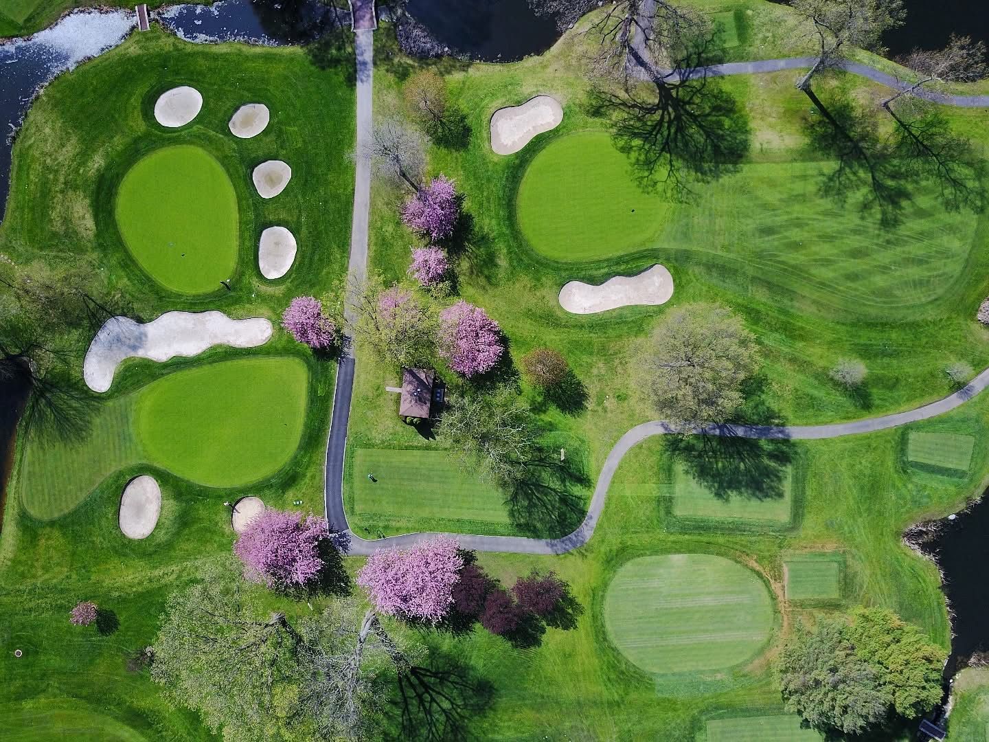Aerial view of a golf course with green fairways, sand traps, water hazards, and blooming pink trees.