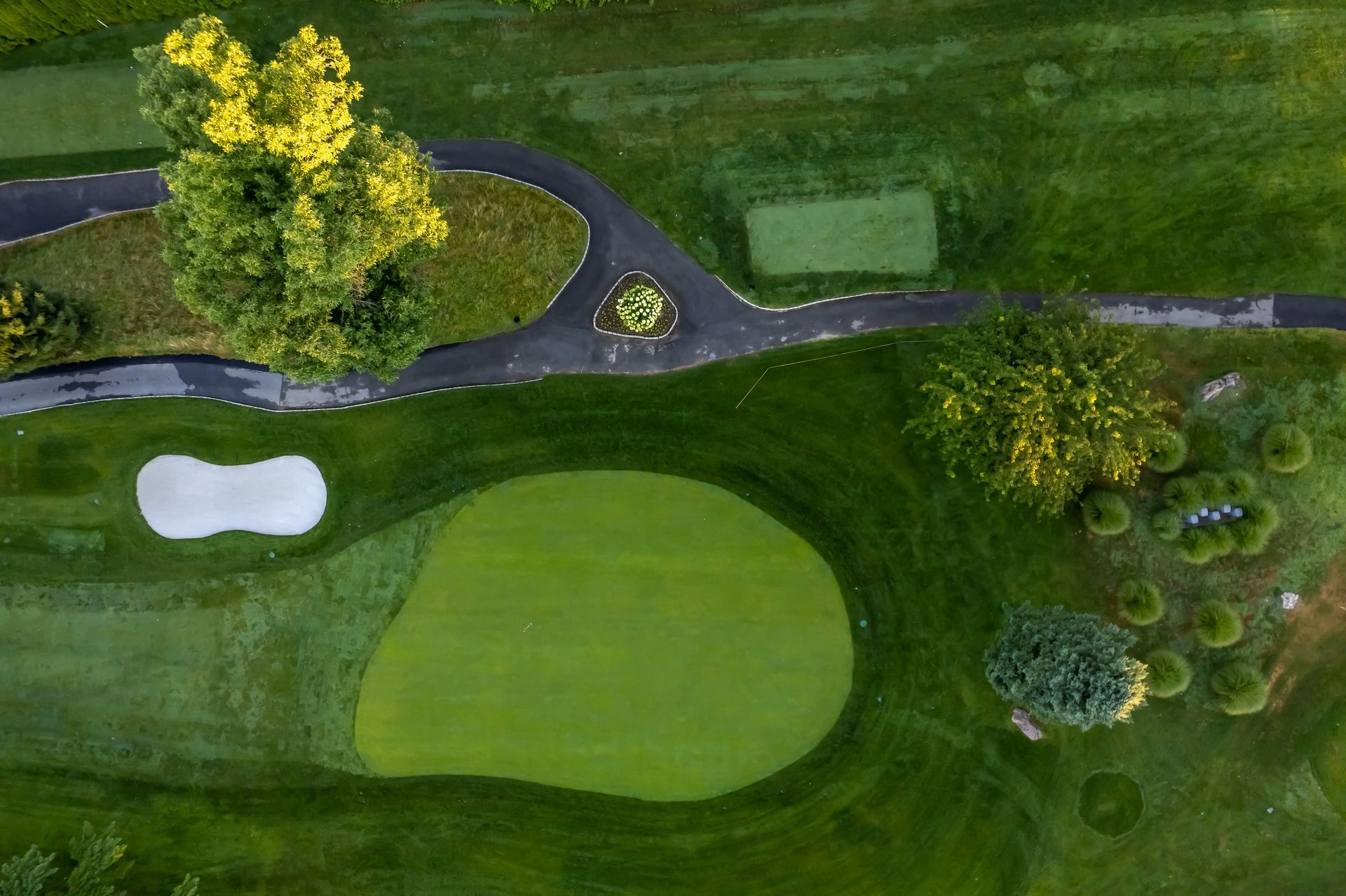 Overhead view of a golf course green with a sand trap, trees, and a path winding through the grass.