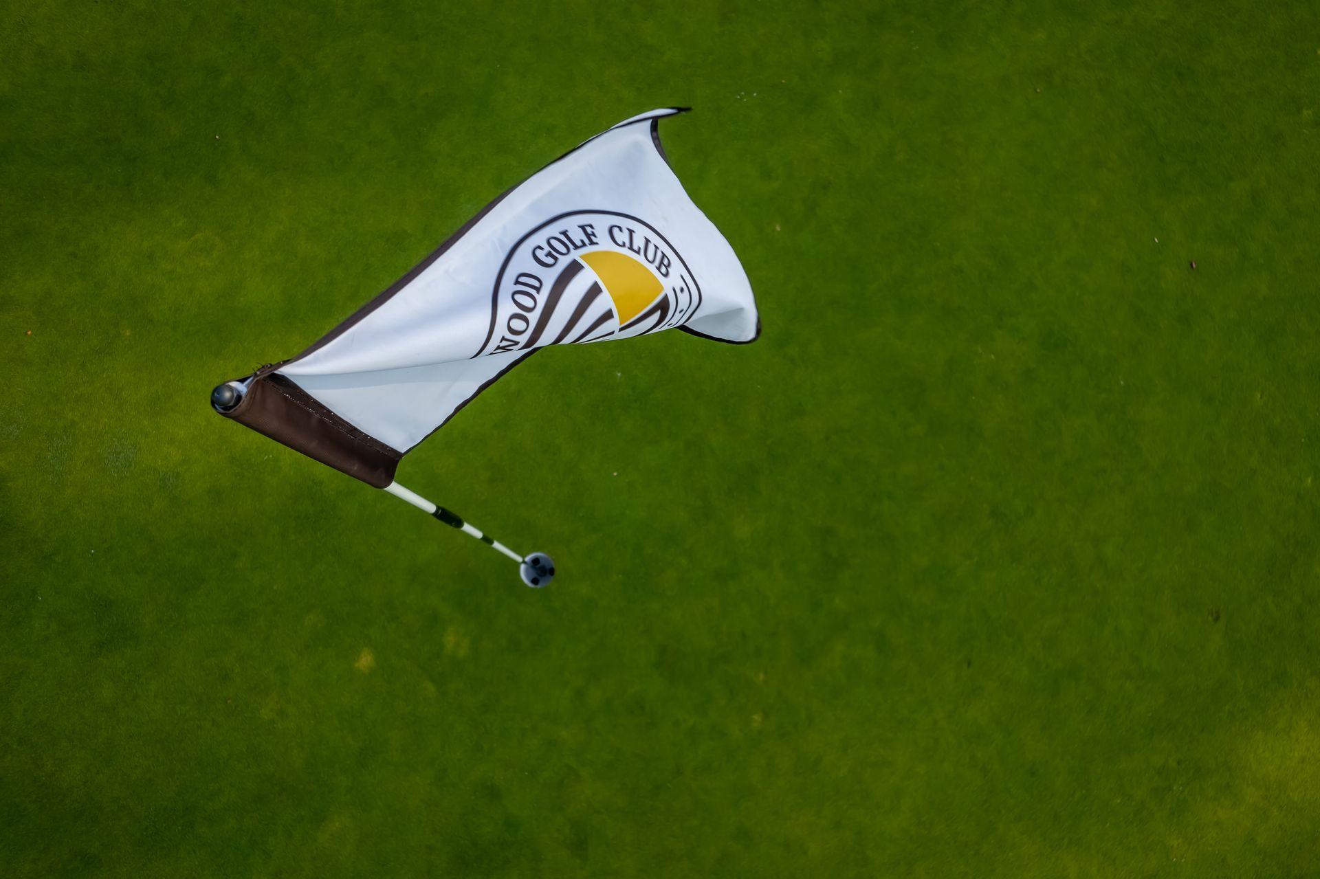 Golf flag on a green. White flag with logo, brown and black pole.