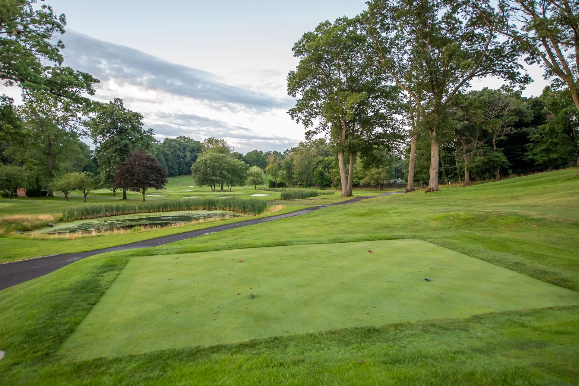 Golf course tee box with green grass, trees, and pond under a cloudy sky.