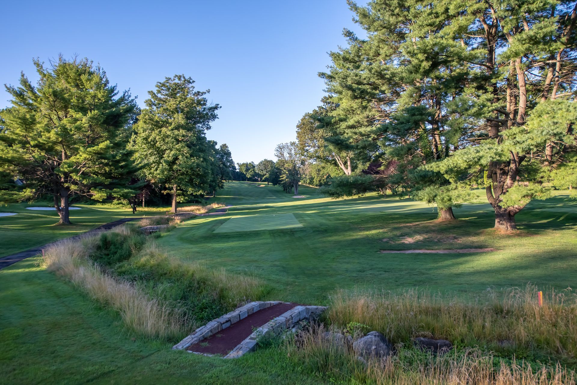 Green golf course with a bridge, trees, and tall grass under a blue sky.