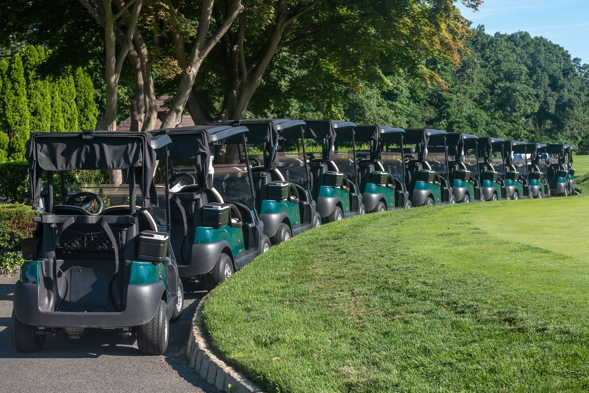A line of teal golf carts parked on a path next to a green grassy area; trees in the background.