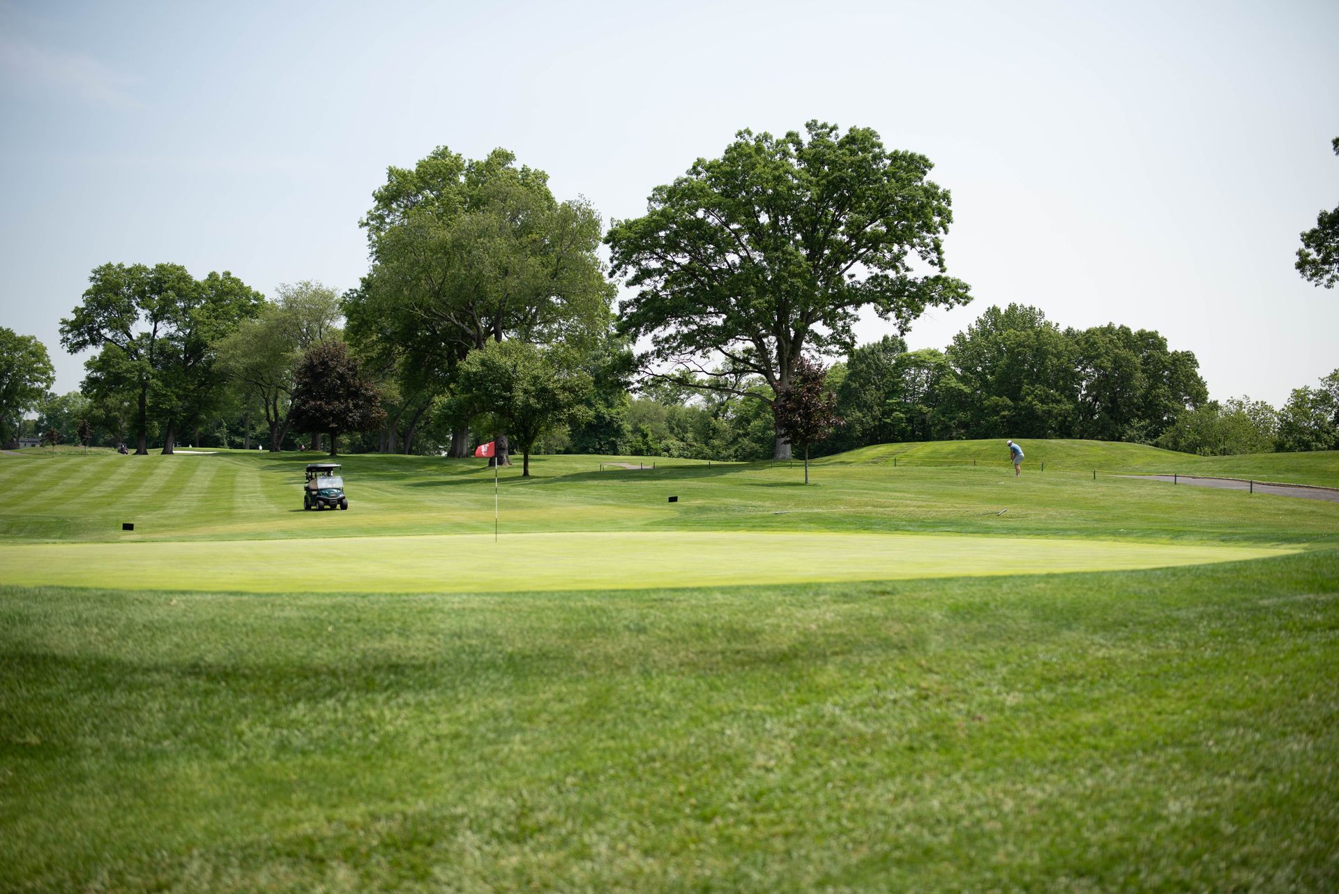Golf course with green fairway, a golf cart, and trees under a sunny sky.