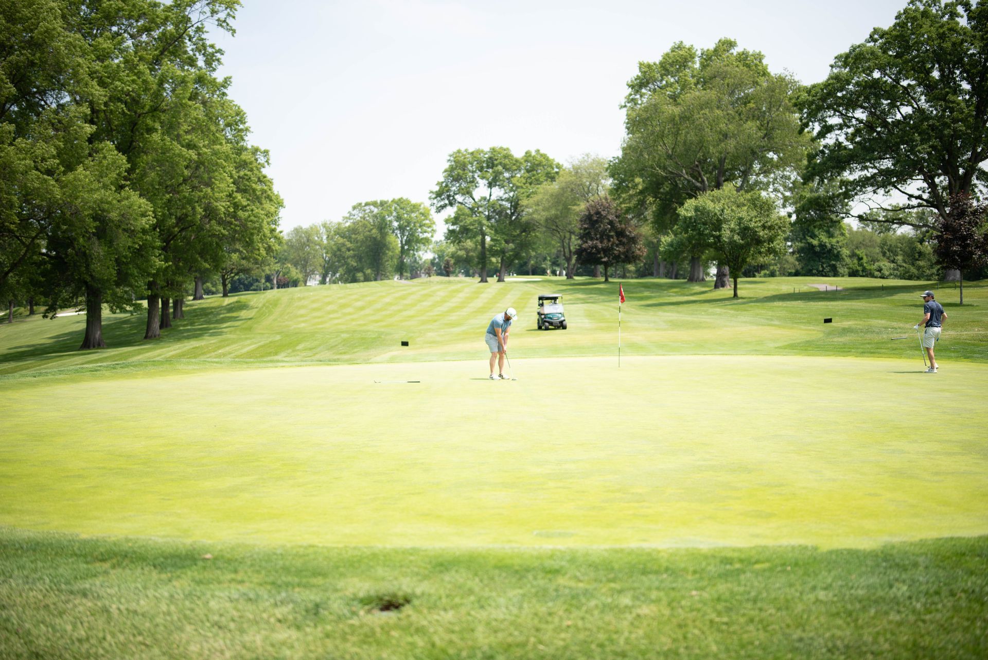 Golfers putting on a green, trees surround the course.