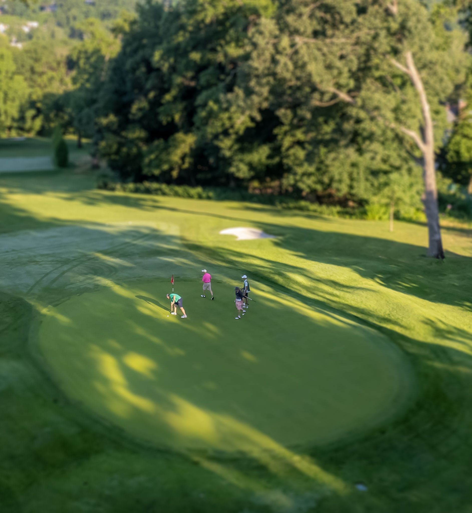 Golfers on a green fairway near a sand bunker, surrounded by trees