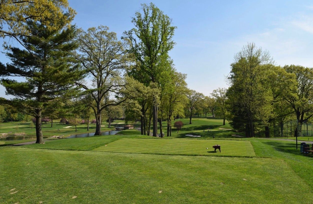Green golf course with trees under a blue sky. A black dog stands on the green.