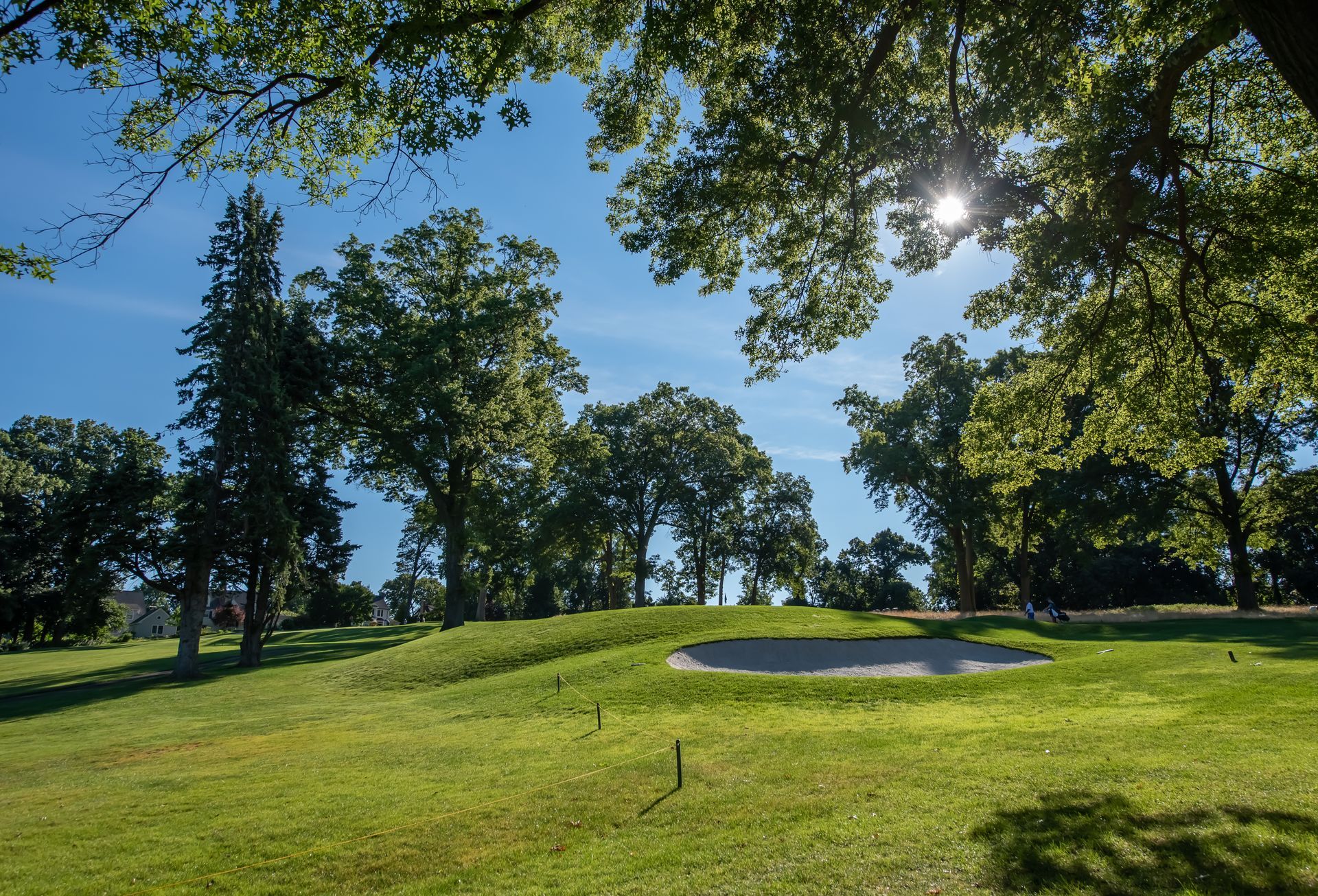 Lush green golf course, bright sunny day. Trees frame a sand trap and the sky.