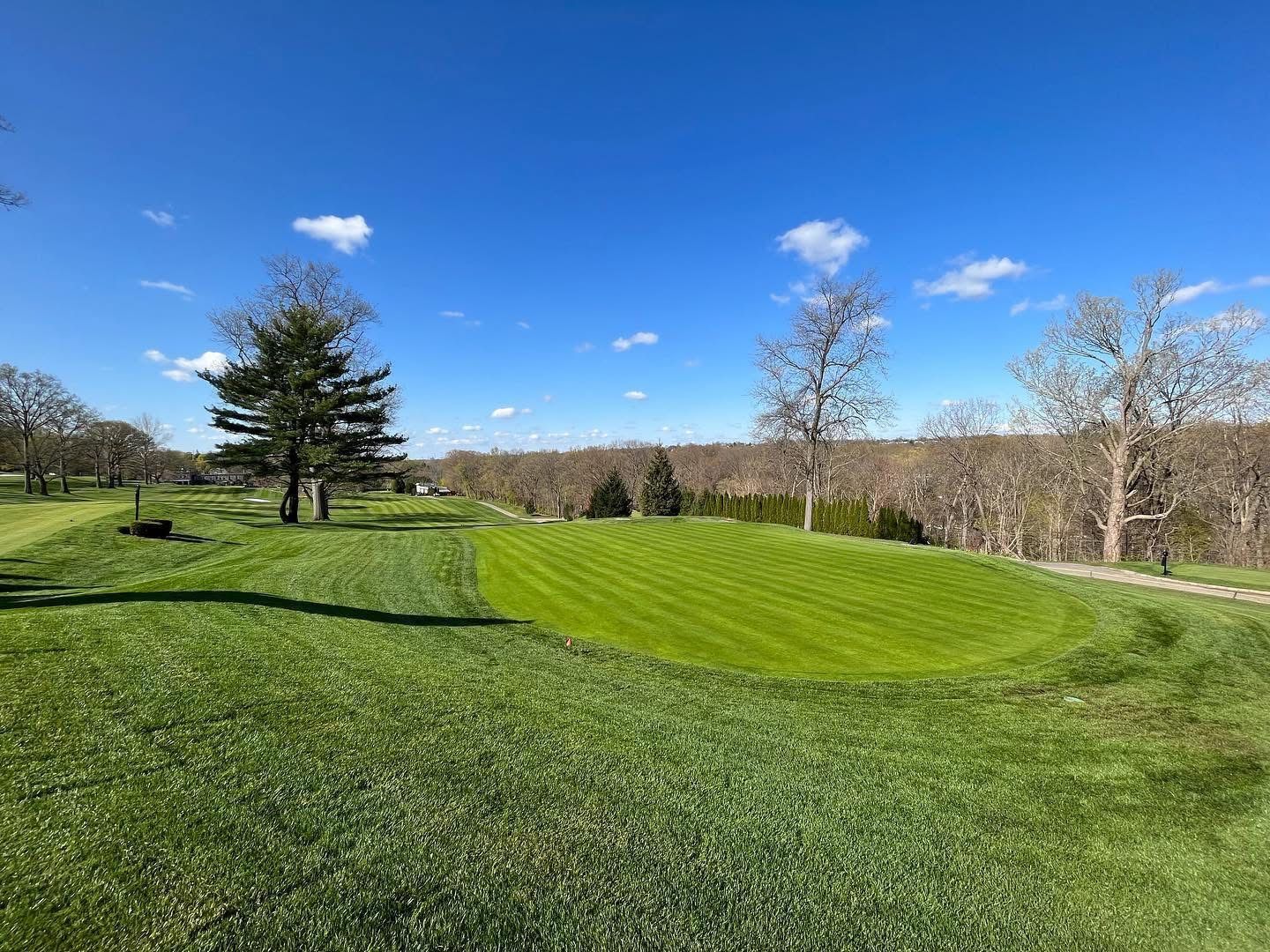 Green grassy landscape with trees under a blue sky.