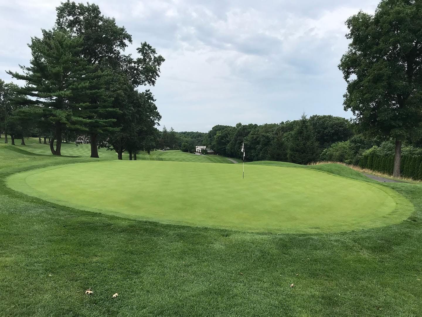 Green golf course with a flag on the putting green, trees in the background, overcast sky.