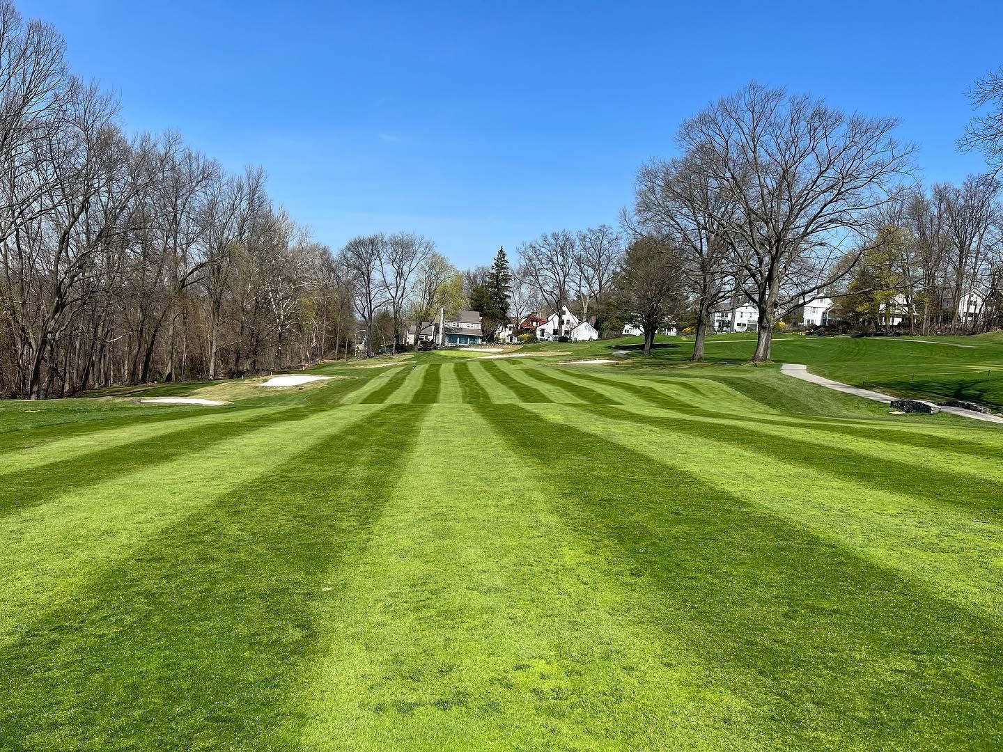 Lush green grass with alternating stripes mowed in a field. Bare trees and blue sky.
