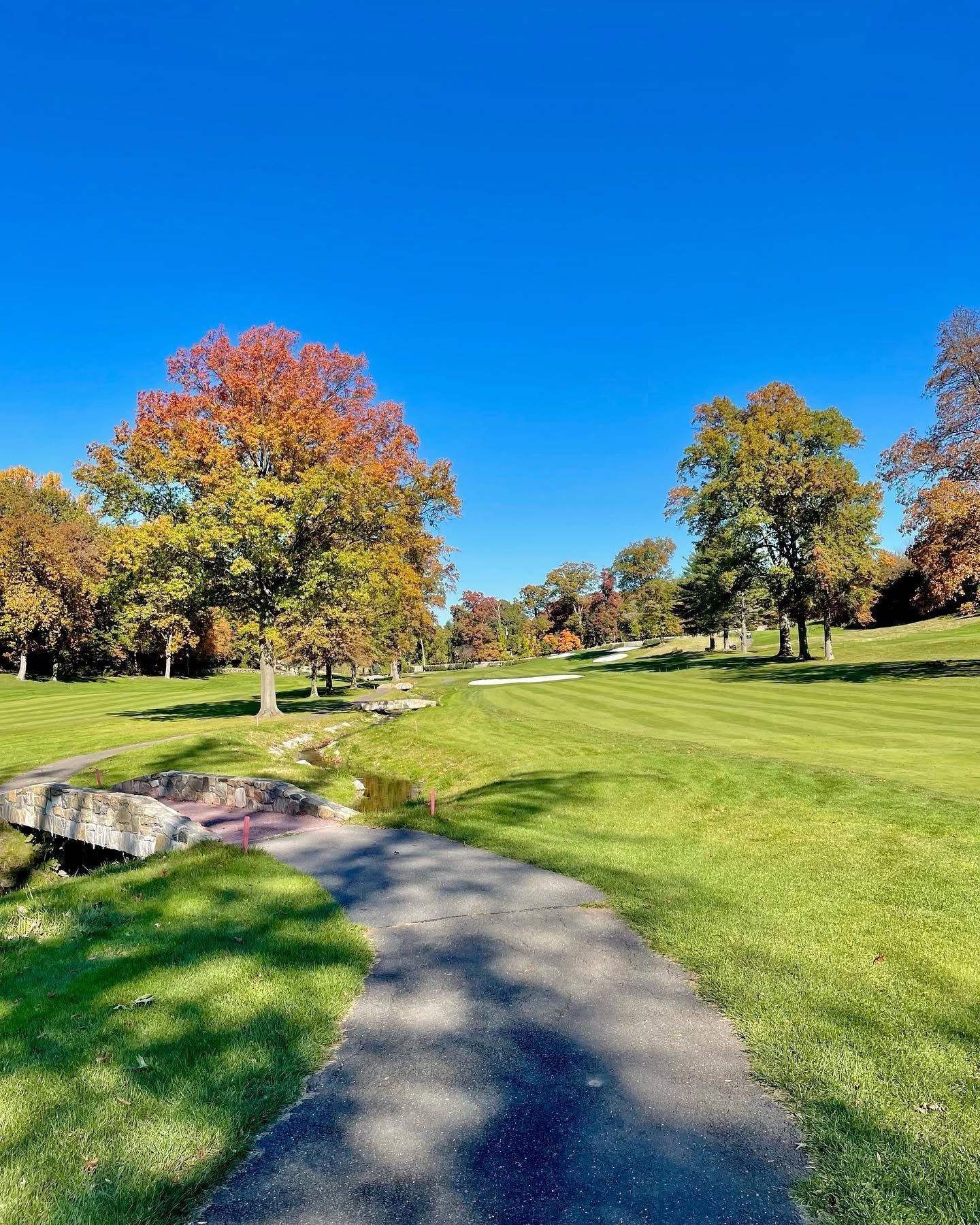 Pathway through a golf course in autumn. Trees with red and orange leaves under a clear, blue sky.
