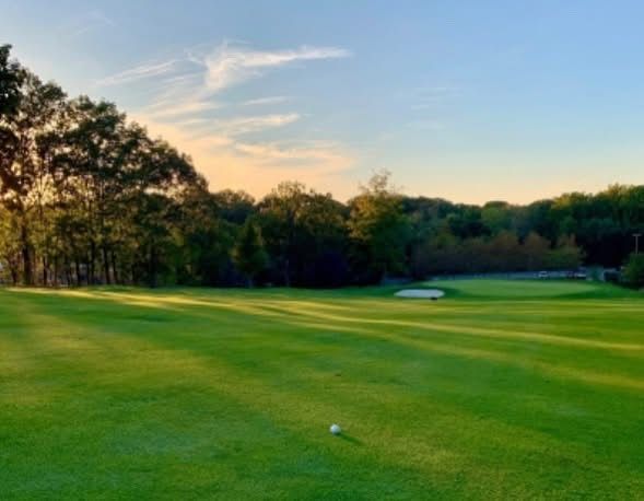 Golf ball on a bright green fairway, trees in the background under a sunny sky.