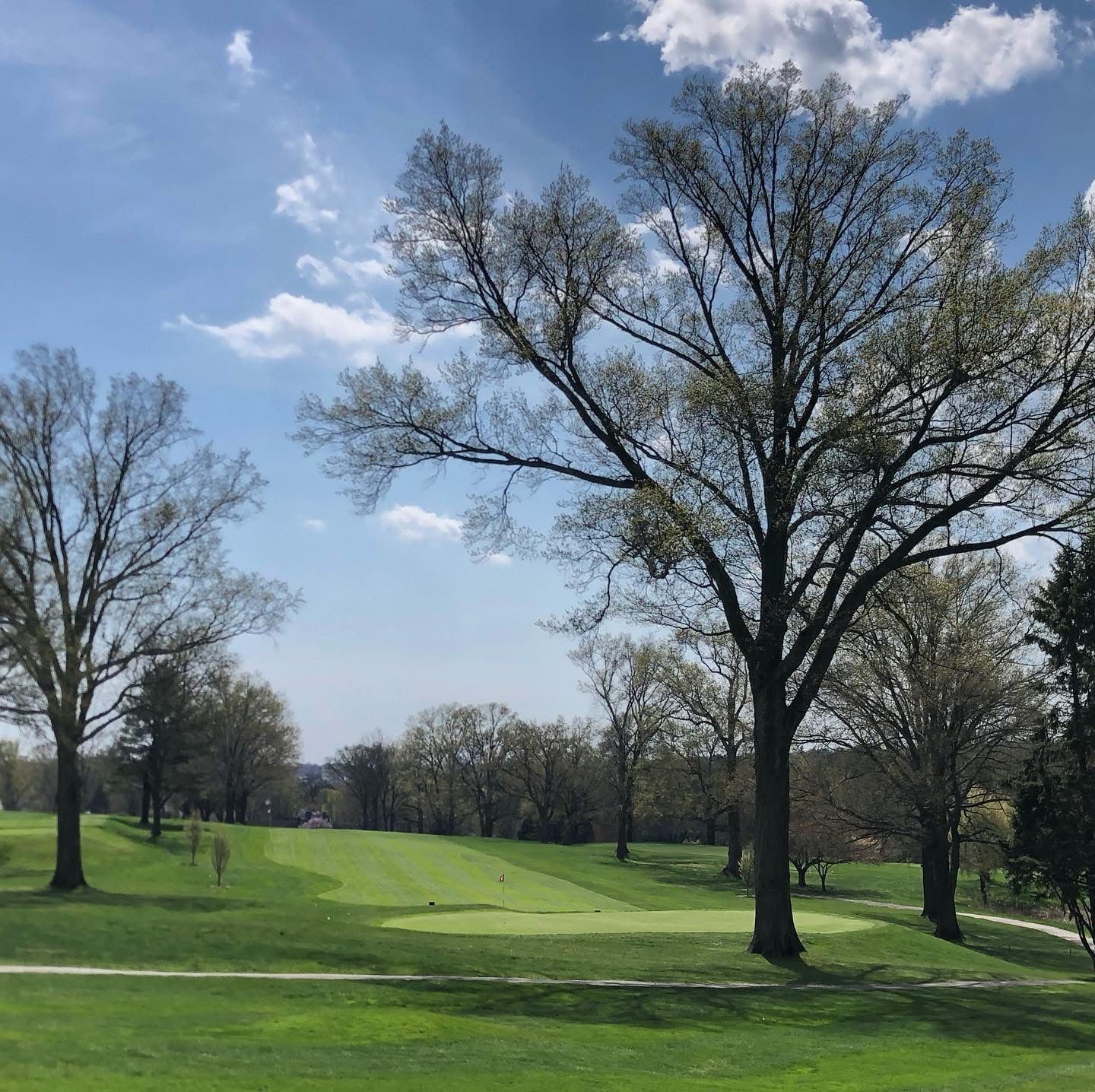 Golf course scene with green grass, trees, and a blue sky with clouds.