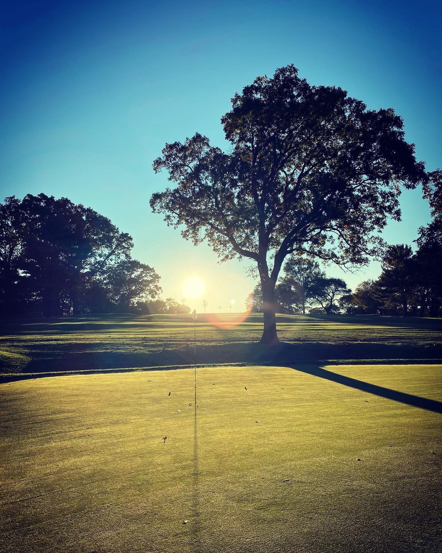 Sun setting behind a tree casting long shadows on a green grassy field under a clear blue sky.