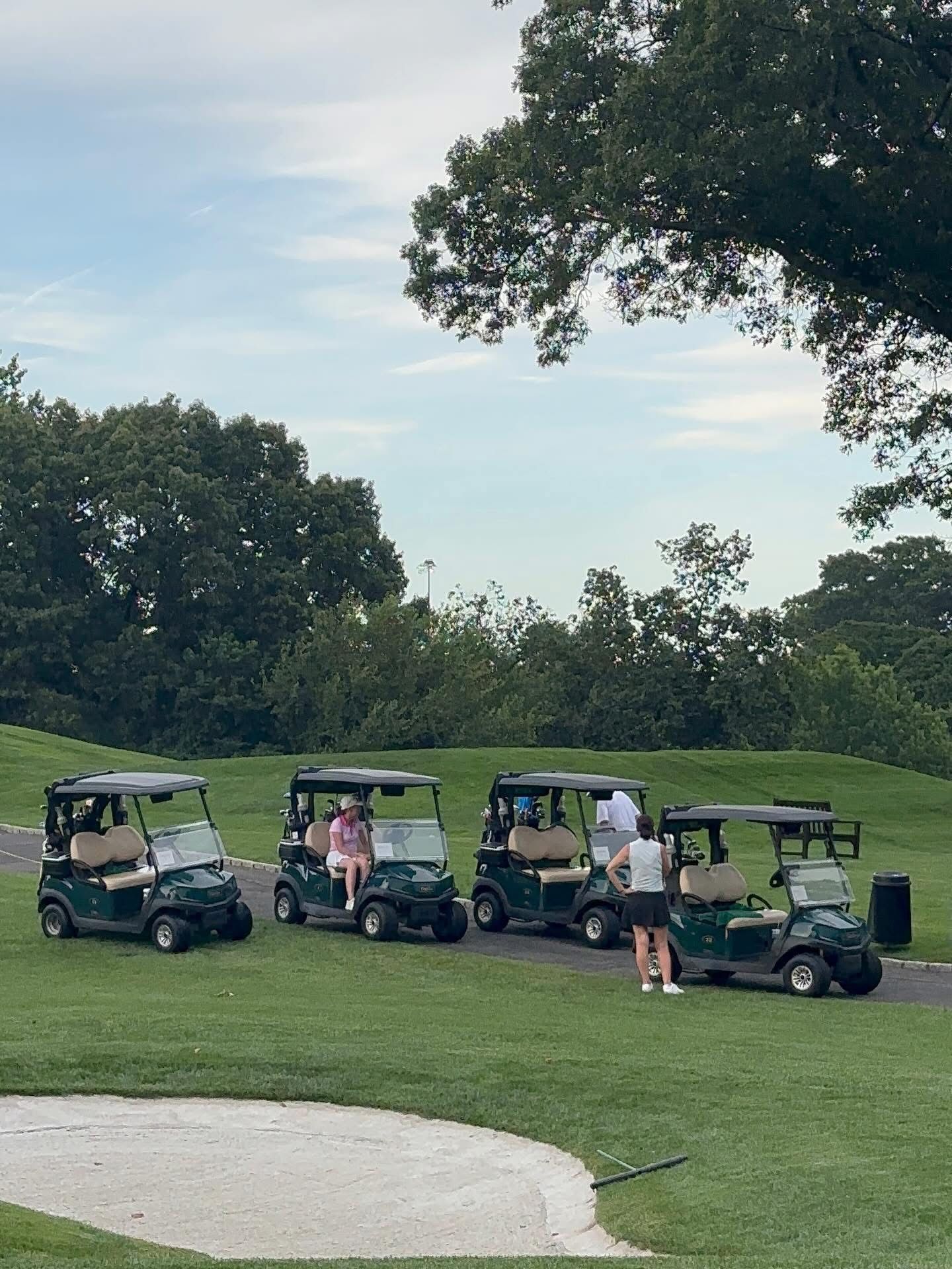 Four golf carts parked on a green fairway; people in the carts and standing nearby.