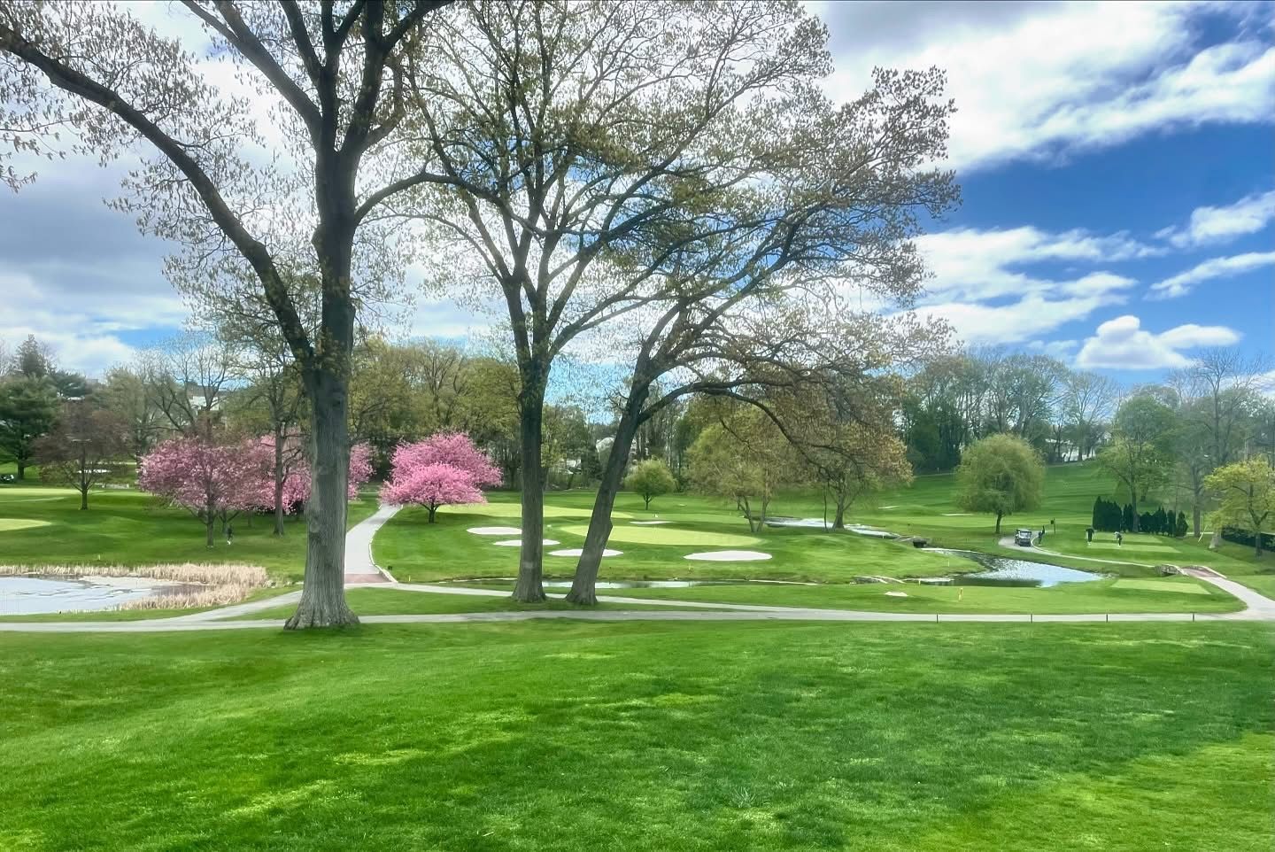 Green golf course with trees in bloom and a partly cloudy blue sky.