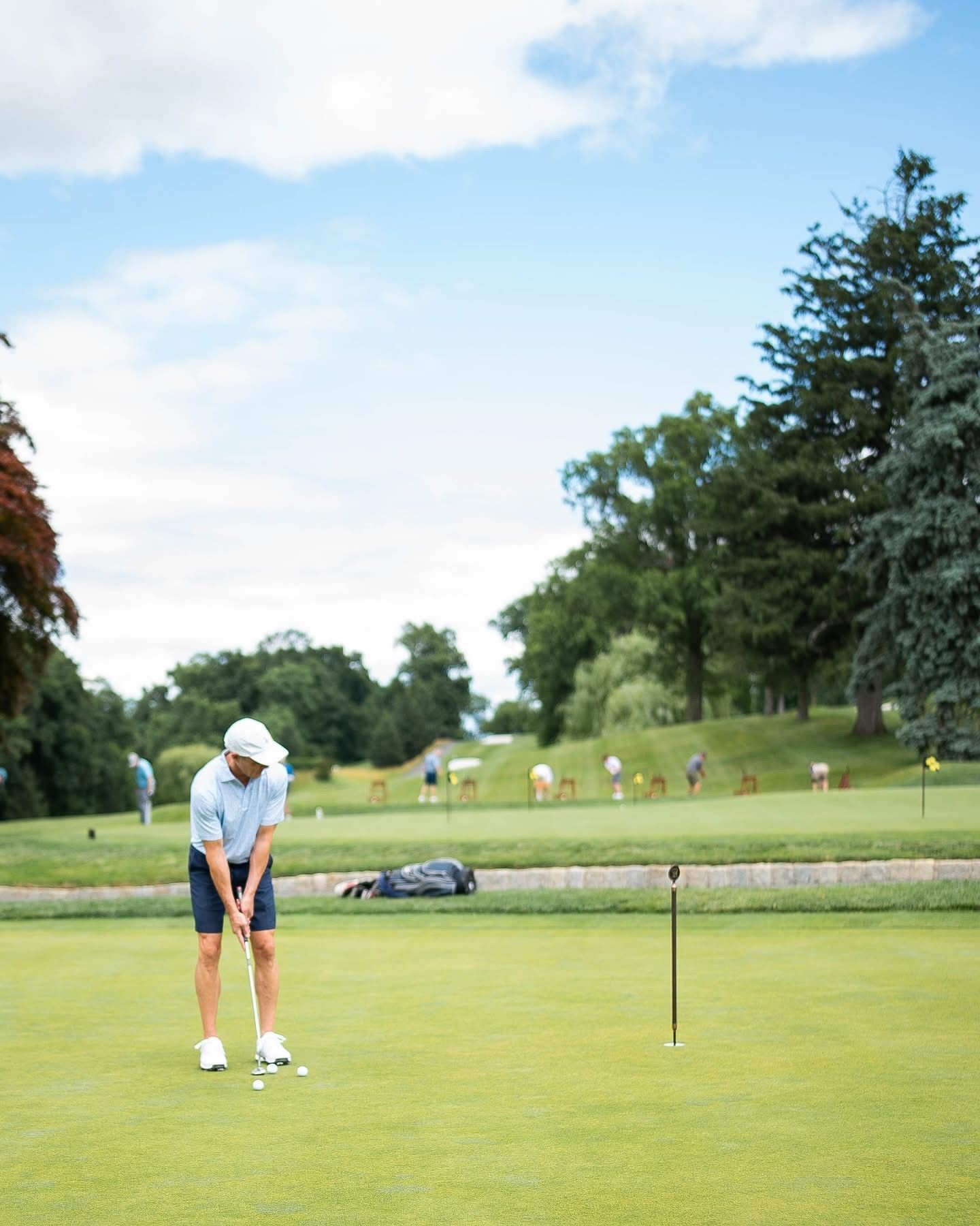 Golfer putting on green, aiming at the hole. Sunny day on a golf course.