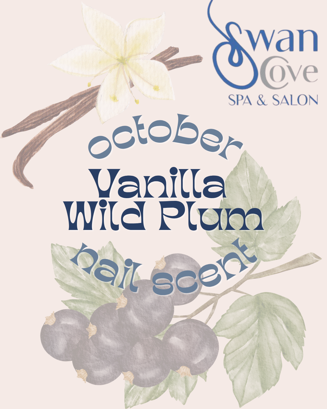 Swan Cove Spa & Salon October fall scent, vanilla, wild plum, with flower, plum branch.