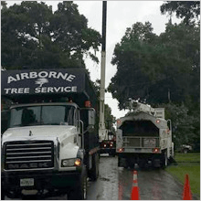 Airborne tree service