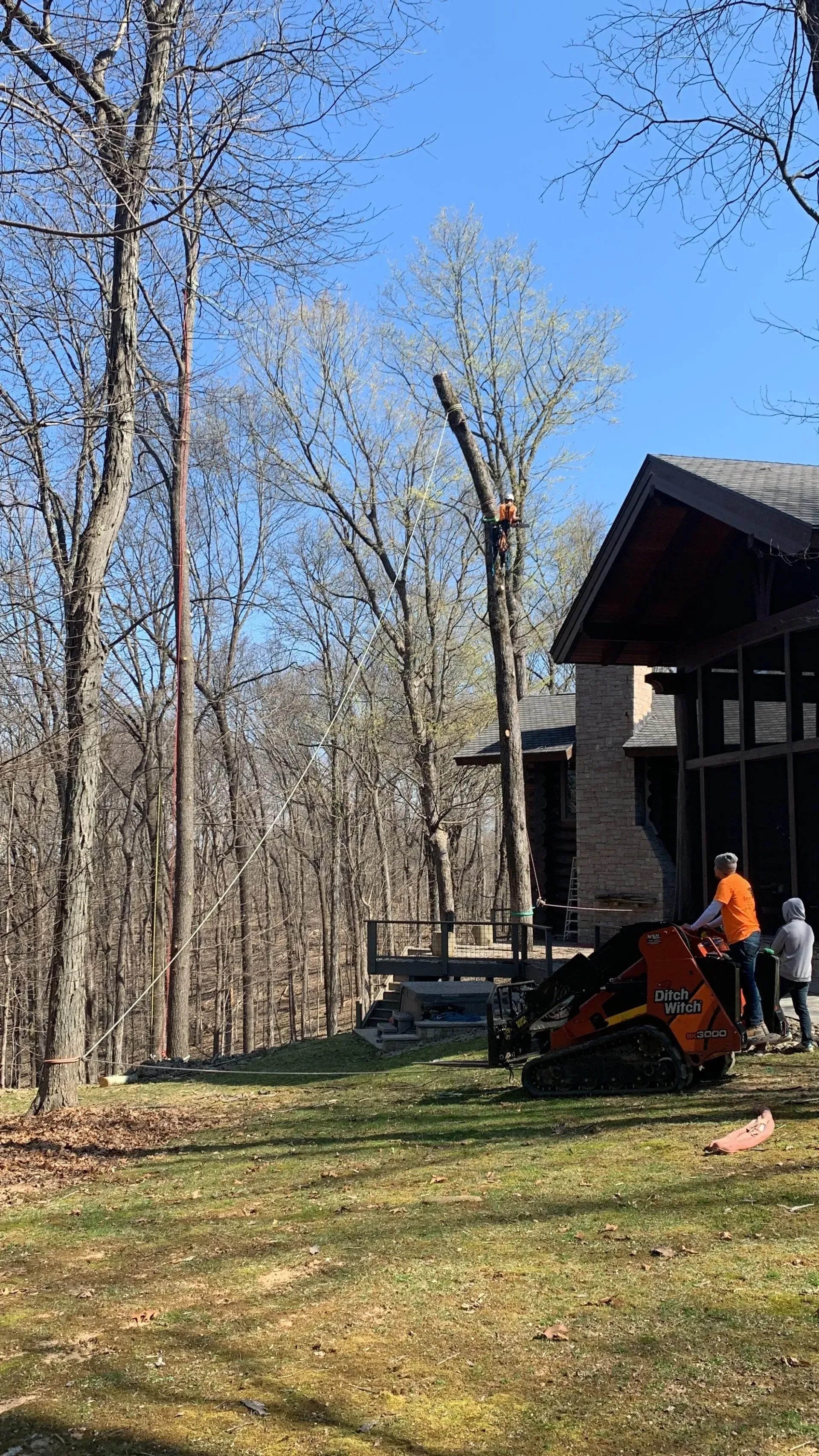 Tree being trimmed near a house by workers using machinery on a sunny day.