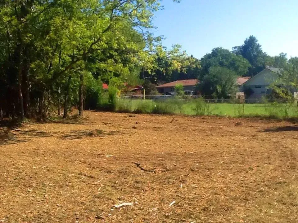 Cleared brown field with trees and a house in the background on a sunny day.