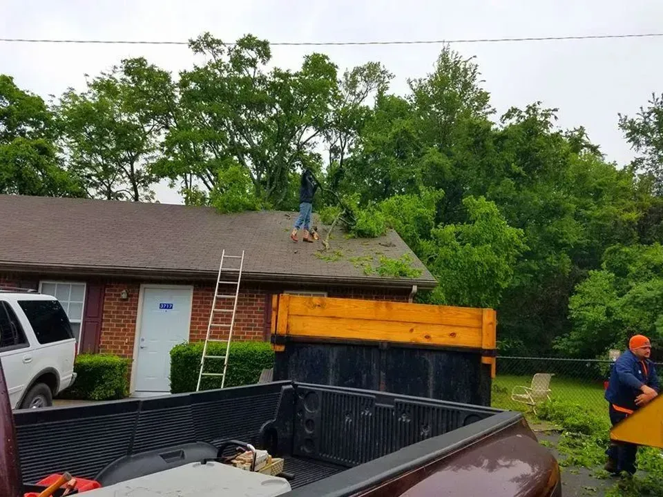 Person on a roof clearing debris, a ladder propped up, truck bed with tools in it. Trees in the background.