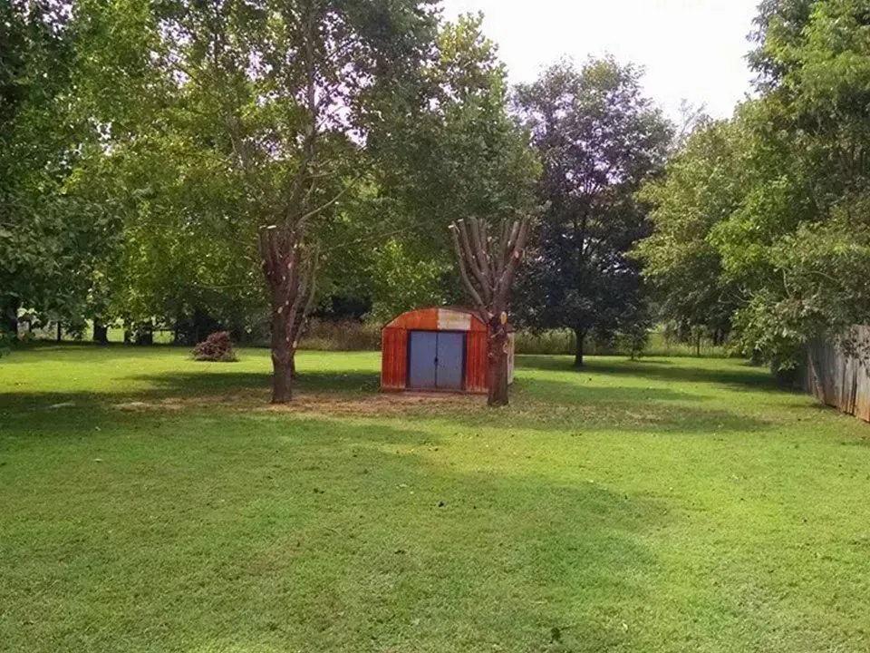 Green grassy yard with shed and trees.