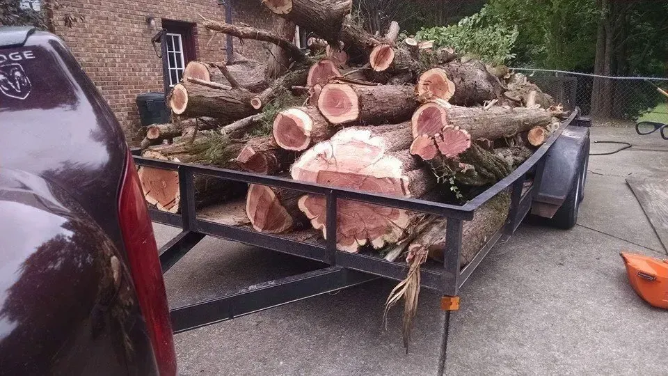 Truck towing a trailer loaded with freshly cut logs, likely after tree trimming.