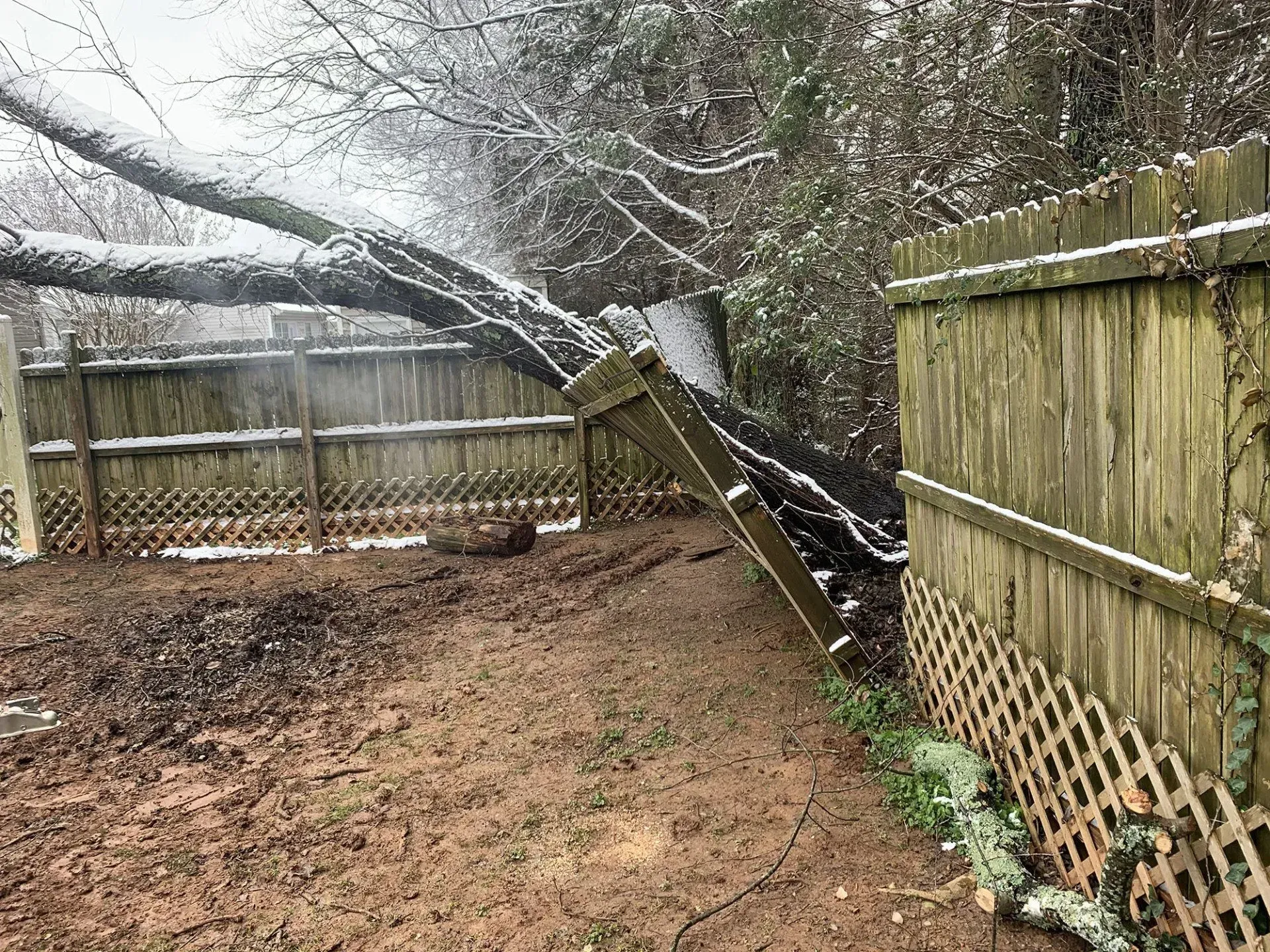 A snow-covered tree has fallen onto and broken a wooden fence in a muddy yard.