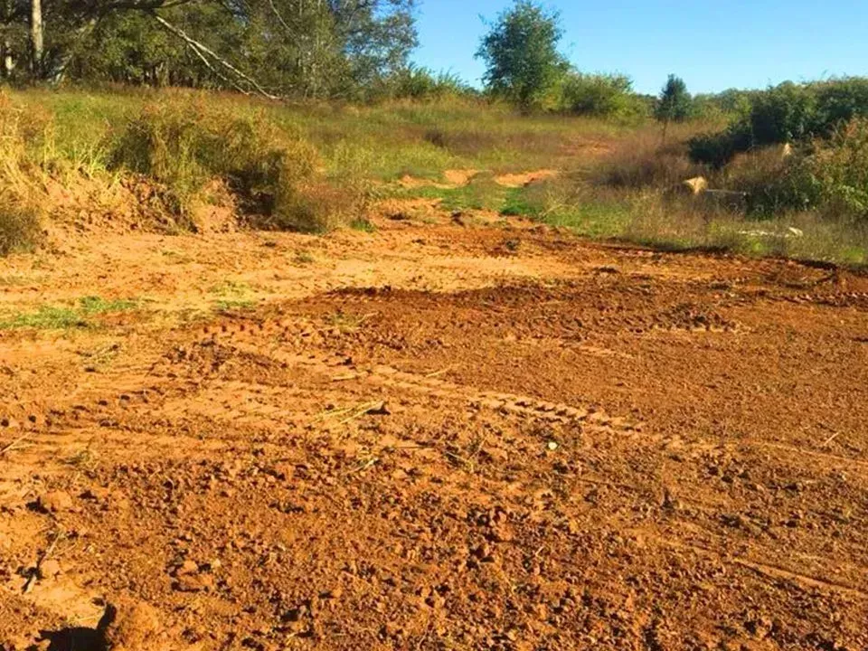 Dirt road through grassy field, with visible tire tracks. Bright brown soil.