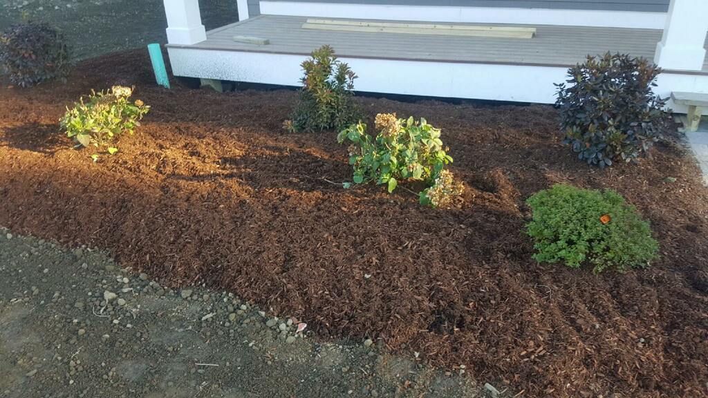 A garden with mulch and plants in front of a house.