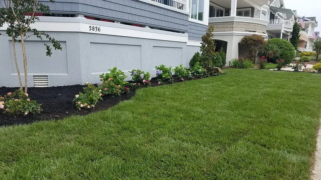 Lush green lawn in front of a light gray house with flower beds and a sidewalk on the right.