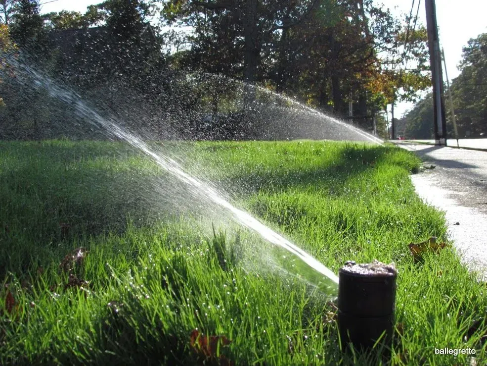 Sprinklers watering green grass beside a road, creating arcs of water droplets.