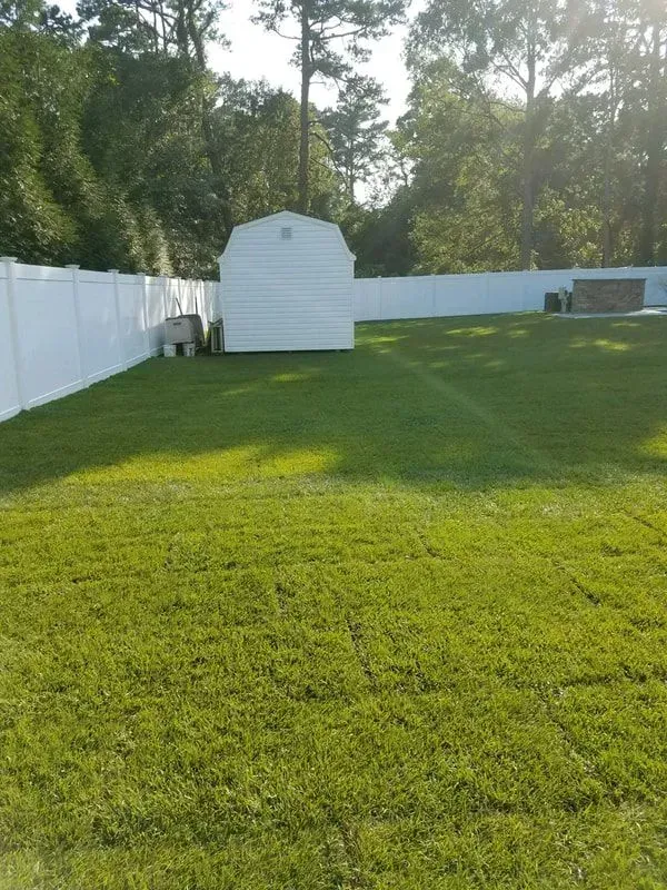 Lush green backyard with white fence and shed; trees in the background.