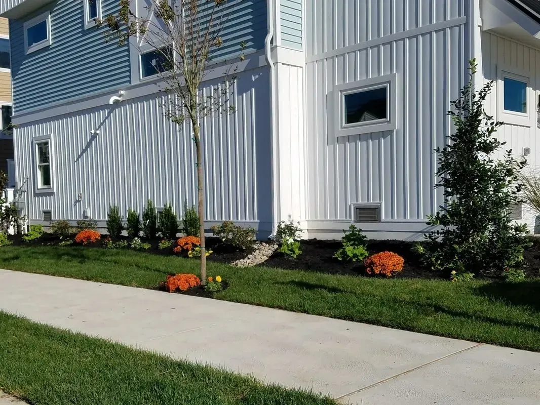 A house with blue siding and white corrugated siding, with landscaping and a sidewalk.
