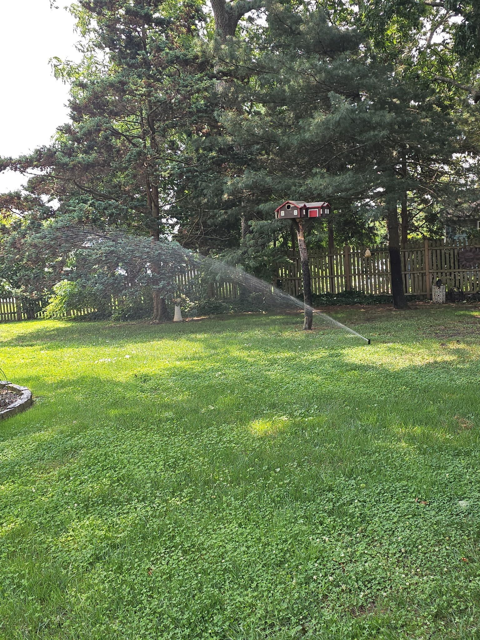 Sprinkler watering green lawn in a yard with trees and a birdhouse on a fence.
